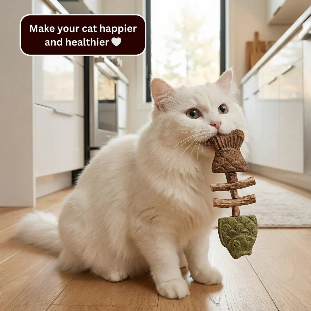KittyChew – Kaustäbchen mit Katzenminze und Silberweinrebe