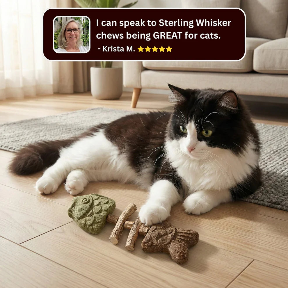 KittyChew – Kaustäbchen mit Katzenminze und Silberweinrebe